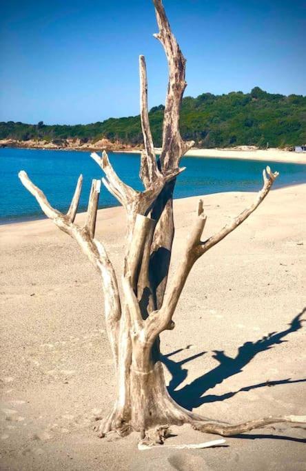 Villa Proche Ajaccio Et Mer Exclusive 2 A 10 Voyageurs Bastelicaccia Luaran gambar
